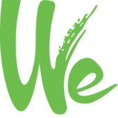 Wealth Insights on US Consumers